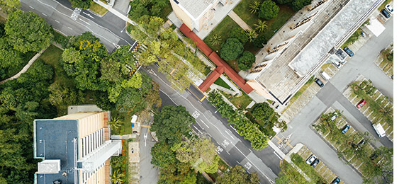 Generación Restauración busca ocho ciudades piloto para la restauración de ecosistemas urbanos